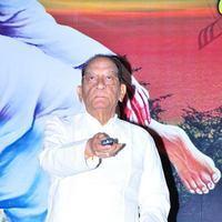 Sri Sai Gananjali audio Album launch - Pictures | Picture 106506